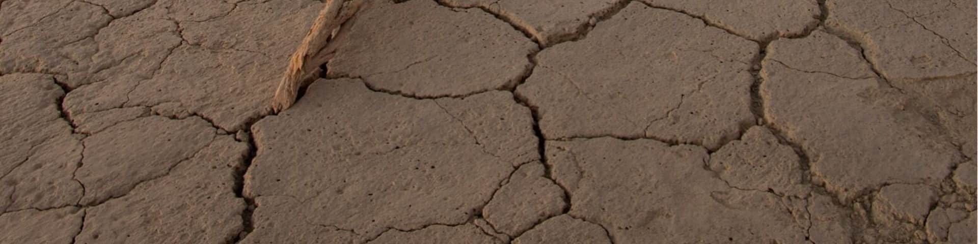 Great place for sunsets. #bvstrove