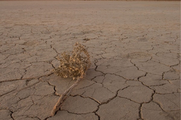 Great place for sunsets. #bvstrove