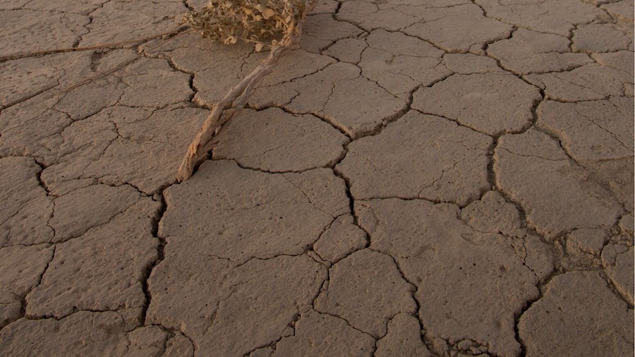 Great place for sunsets. #bvstrove