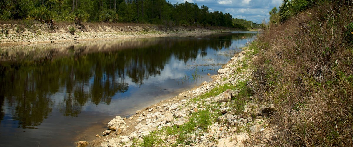 A calm river with a rocky shoreline, surrounded by dense green trees and under a partly cloudy sky.