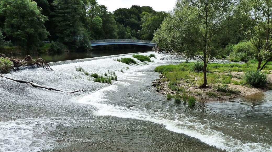 (LSG:BW-4.25.129)_Obermarchtal, Danube in Baden-Württemberg, Fussgaengerbruecke und Fahrradbruecke ueber die Donau bei Obermarchtal im Alb-Donau-Kreis