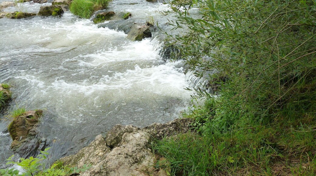 (LSG:BW-4.25.129)_Obermarchtal, Danube in Baden-Württemberg, Fish ladders in Baden-Württemberg