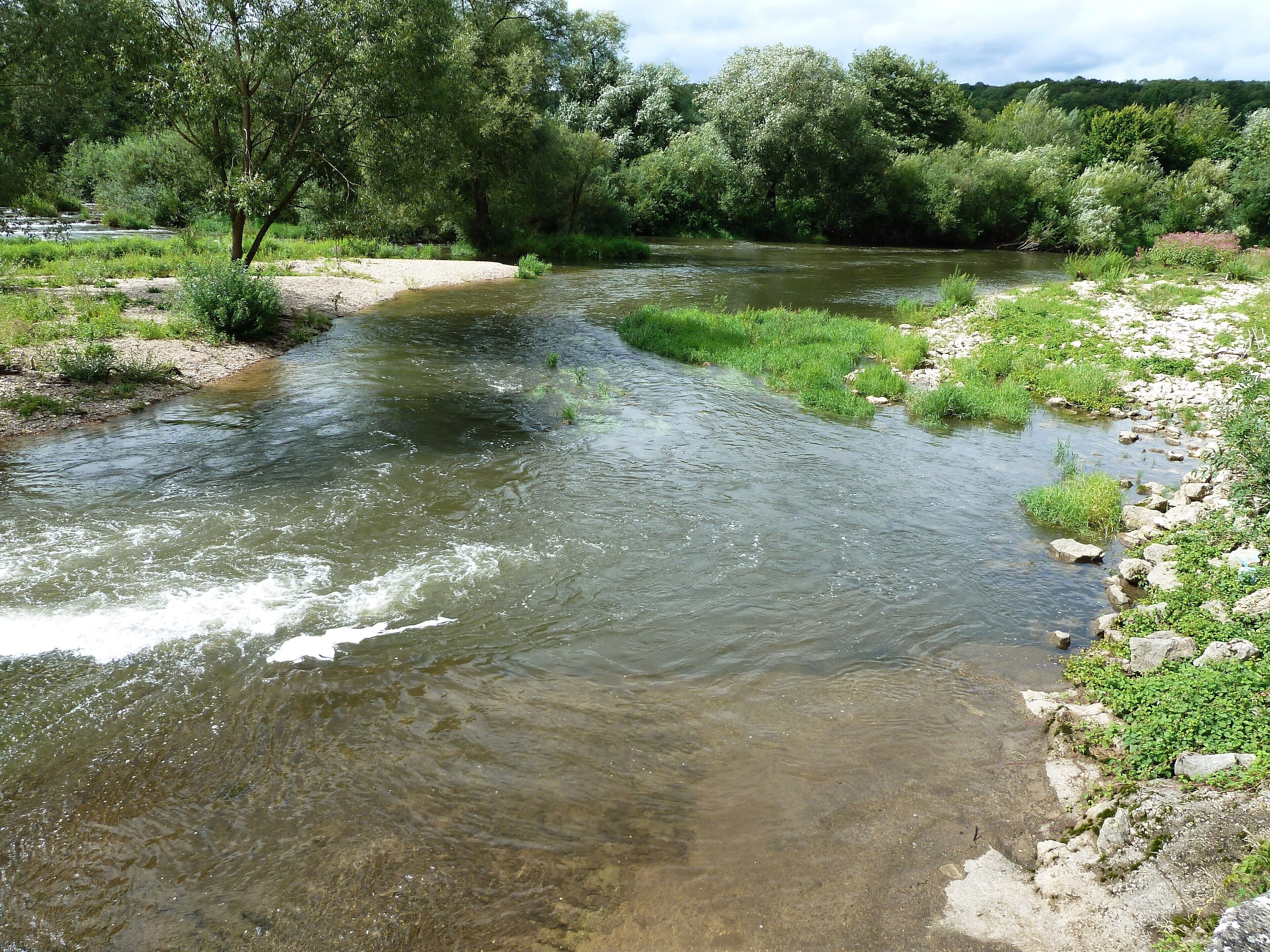 A clear river flowing through a forested area with rocks and greenery along the banks.