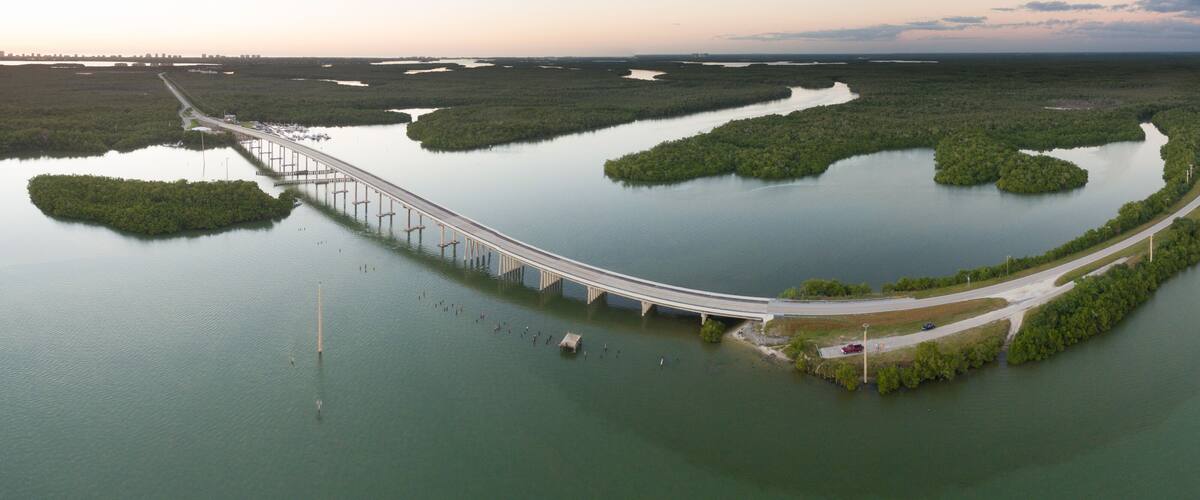 A long bridge curving through a mangrove-filled estuary.