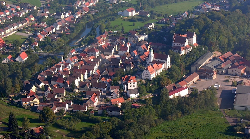 Germany, Baden-Württemberg, Aerial view of Scheer