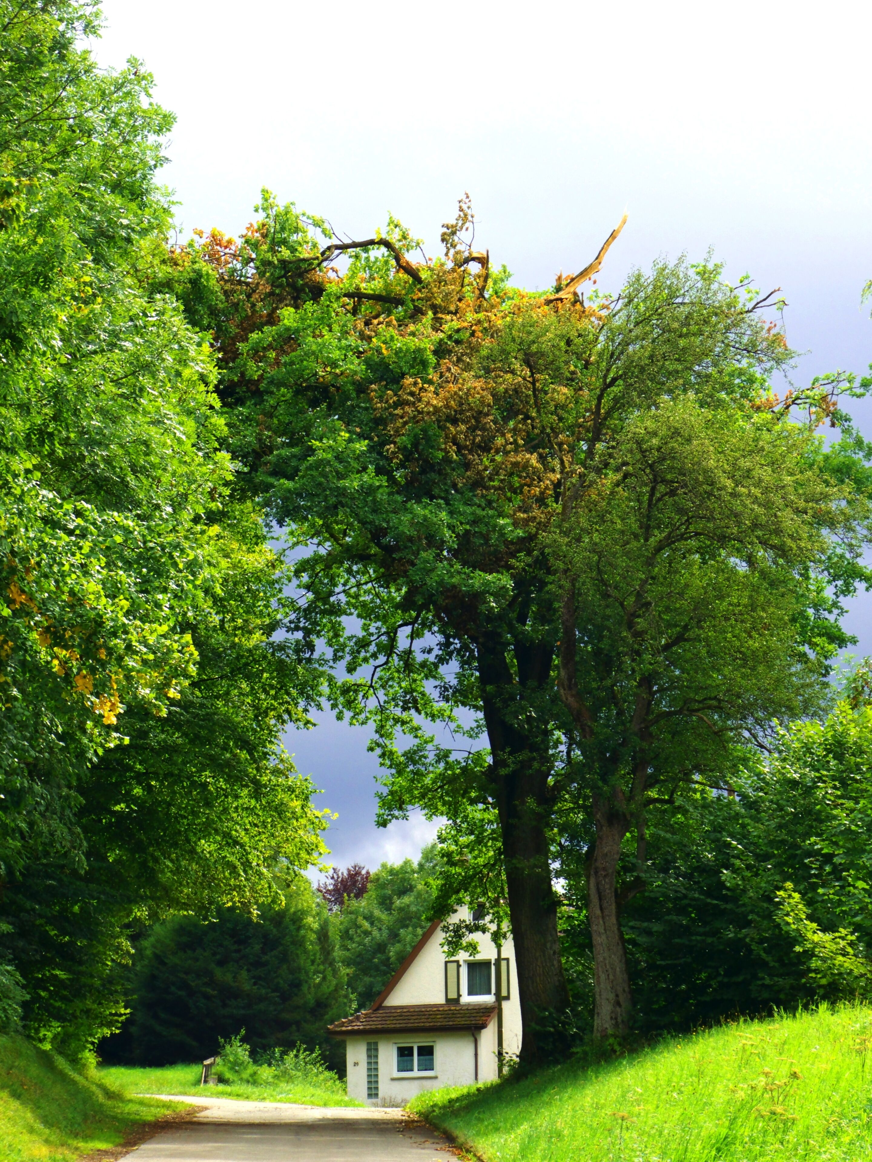 To Many Thunderstorms