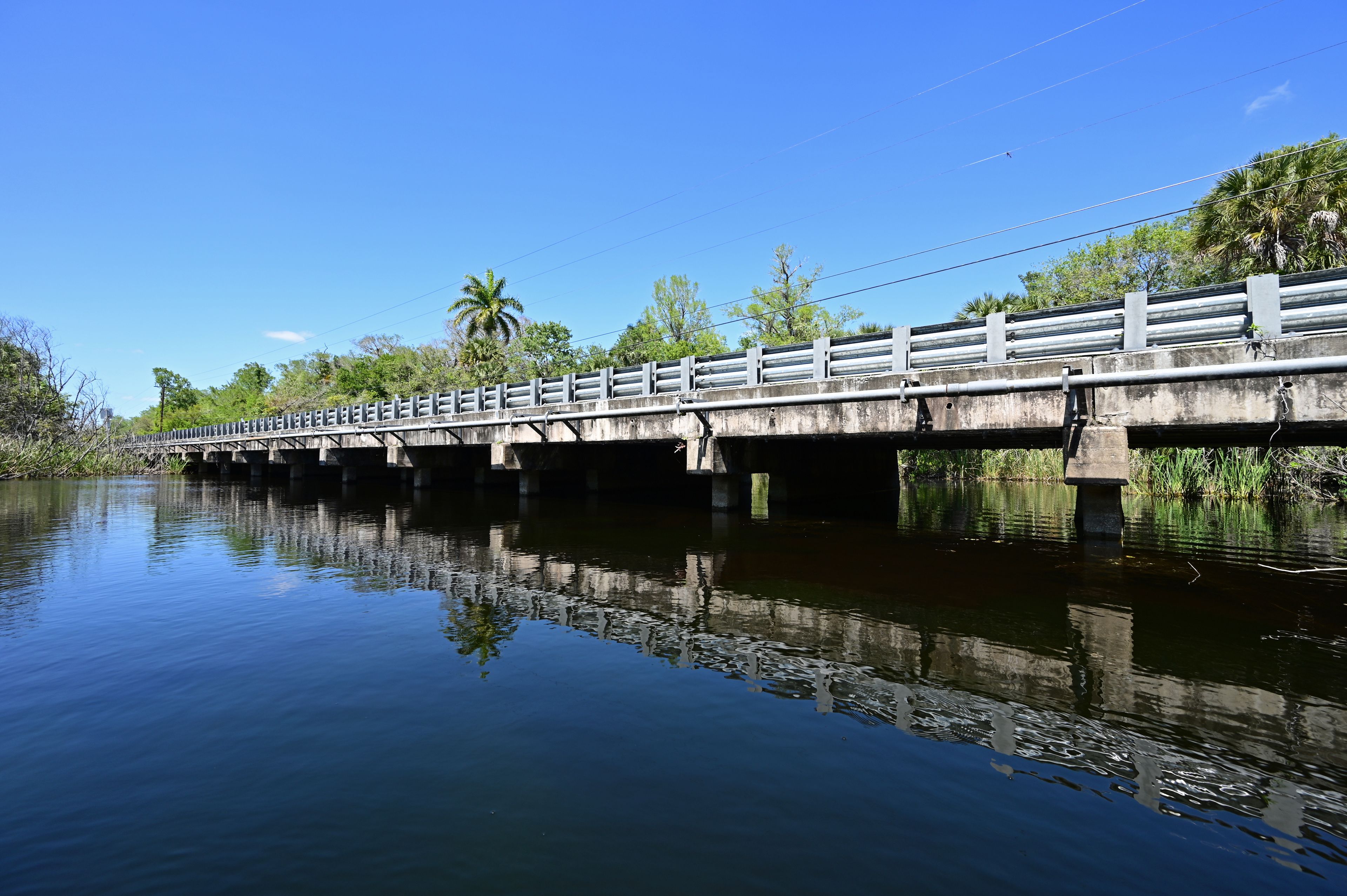 Un pont enjambant une rivière paisible aux eaux claires et aux reflets limpides, entouré de verdure et de palmiers.