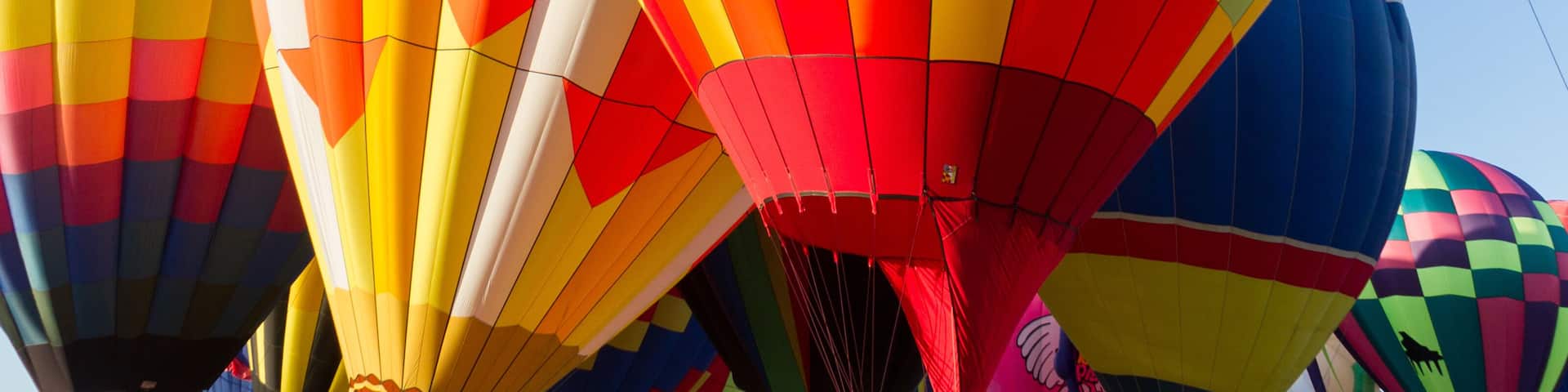 Colors filled the sky at dawn during balloon festival in Immokalee, FL.