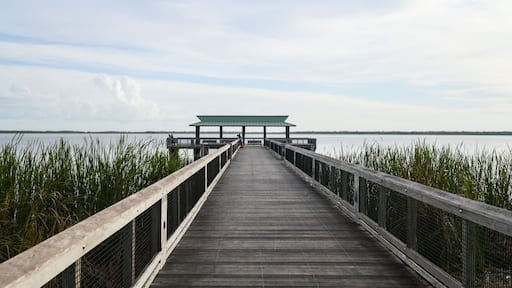 The boardwalk and dock in Lake Trafford in South Florida. A large lake with alligators and lots of wildlife and fishing.
