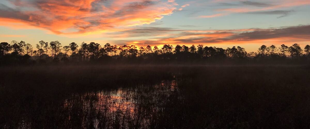 Crew Marsh Trails located off corkscrew road near Immokalee, Fl, is such a gorgeous place. Decided on an early am hike and it didn’t disappoint! Gorgeous sunrise, lots of birds! I’m so glad we went here and we will definitely be back!
#hiking
#outdoors