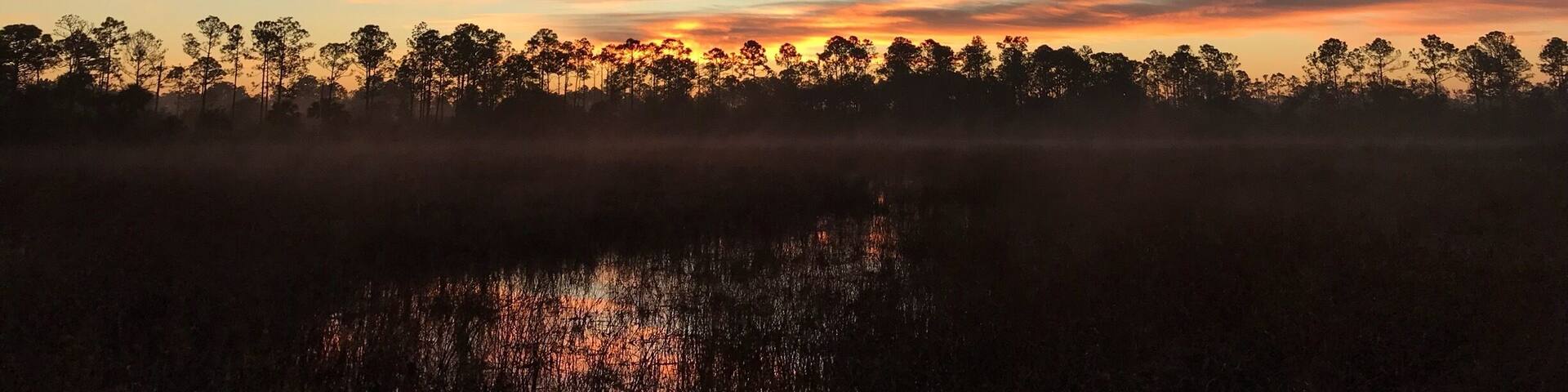 Un atardecer sobre un bosque con un lago que refleja el cielo.