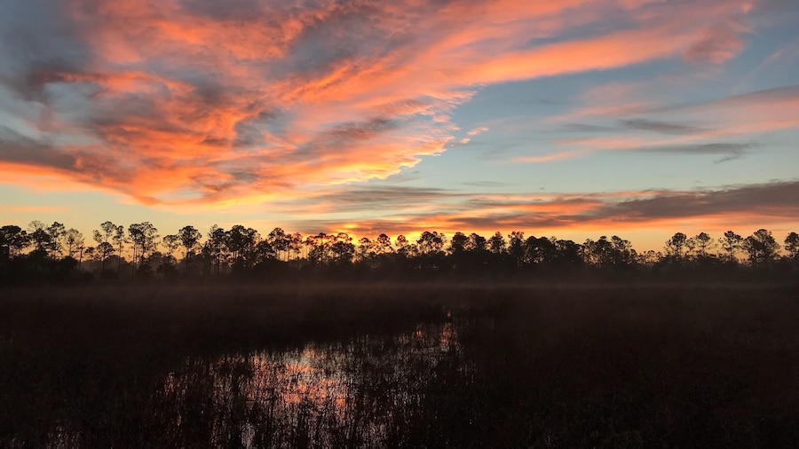 Crew Marsh Trails located off corkscrew road near Immokalee, Fl, is such a gorgeous place. Decided on an early am hike and it didn’t disappoint! Gorgeous sunrise, lots of birds! I’m so glad we went here and we will definitely be back!
#hiking
#outdoors