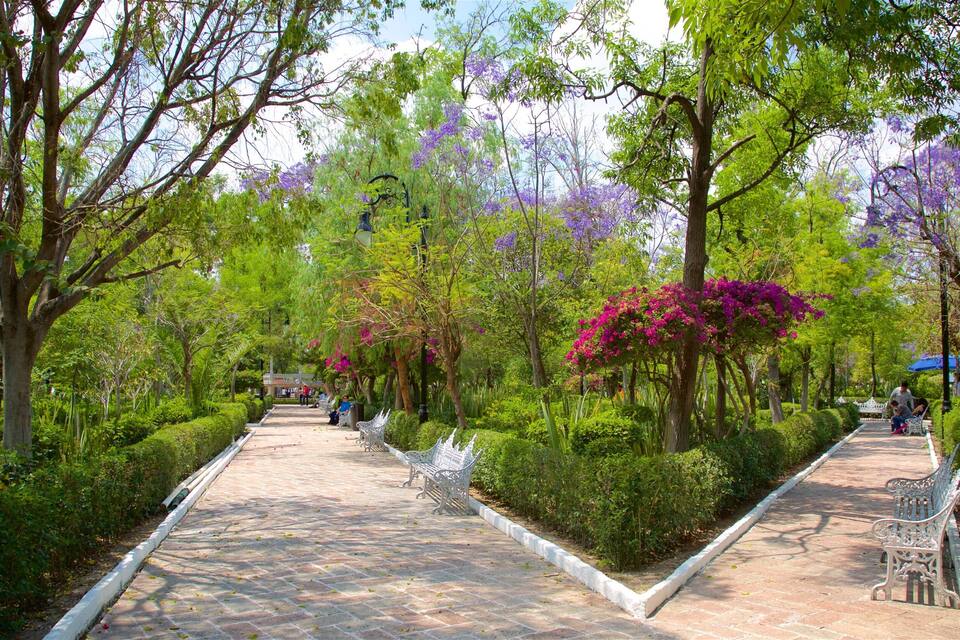 Un parque con un sendero pavimentado, bancos y árboles en flor.