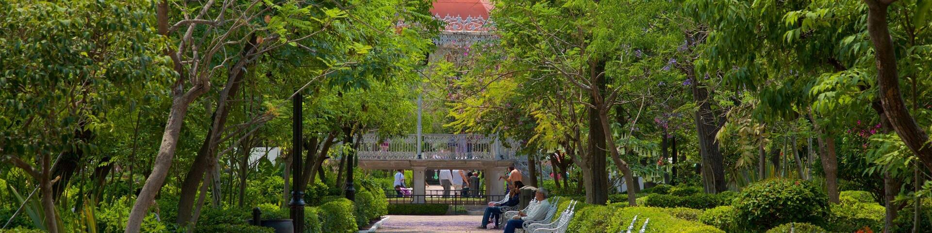 Jardin de San Marcos which includes a garden