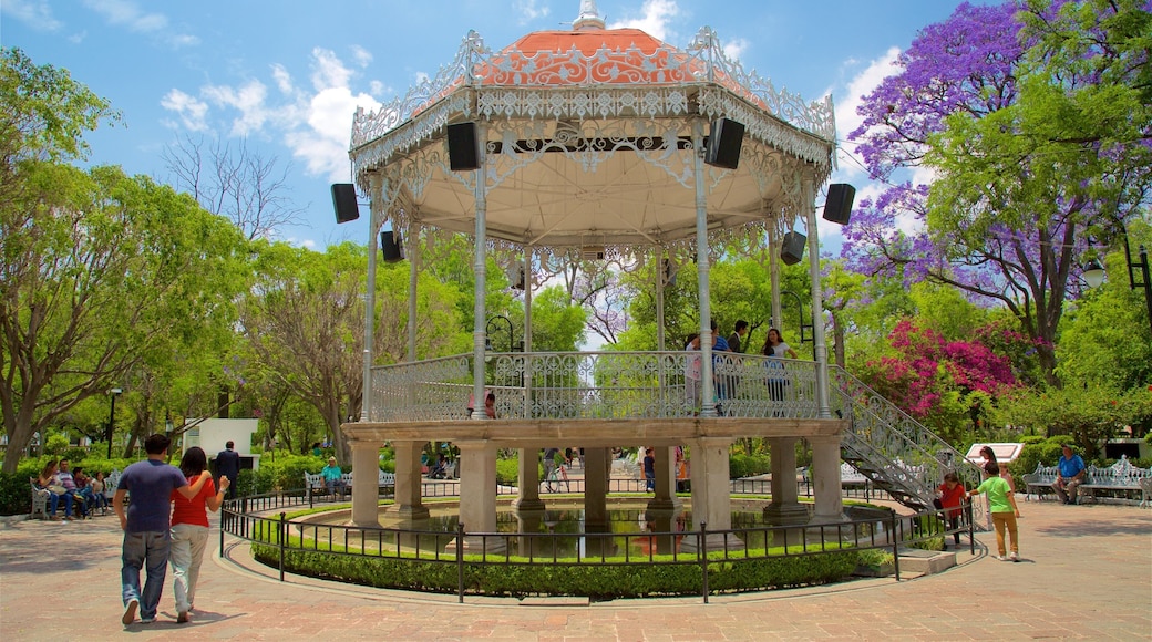 Jardin de San Marcos