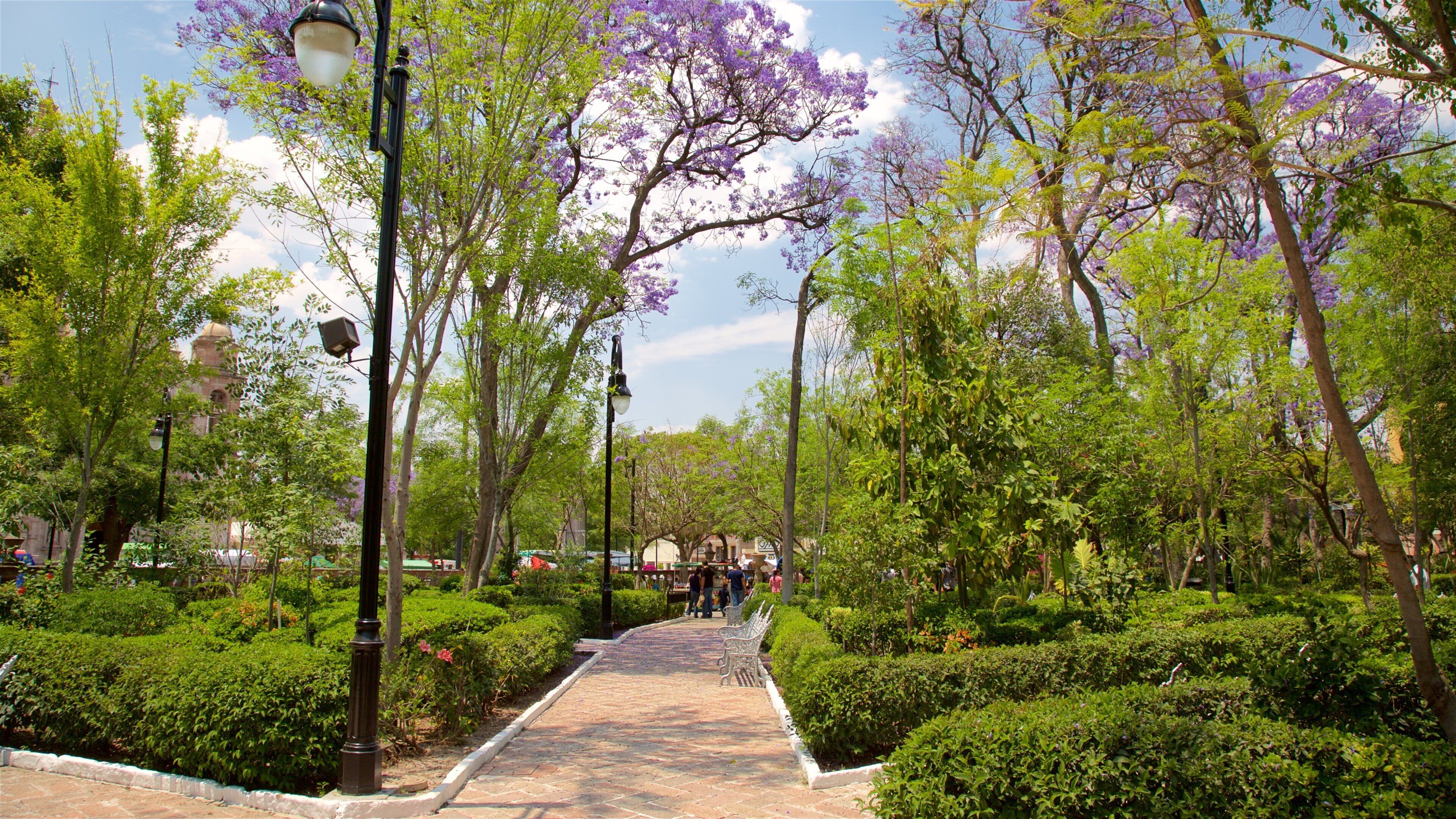 จาร์ดีน เดอ ซาน มาร์คอส ซึ่งรวมถึง ดอกไม้ป่า และ สวน