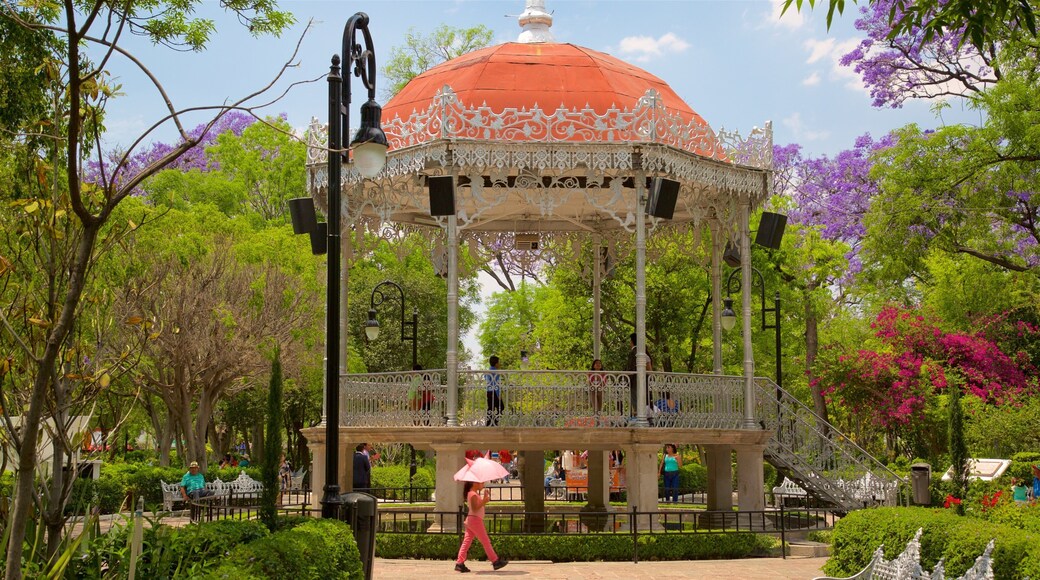 San Marcos-haven som omfatter vilde blomster, en park og kulturarvsgenstande