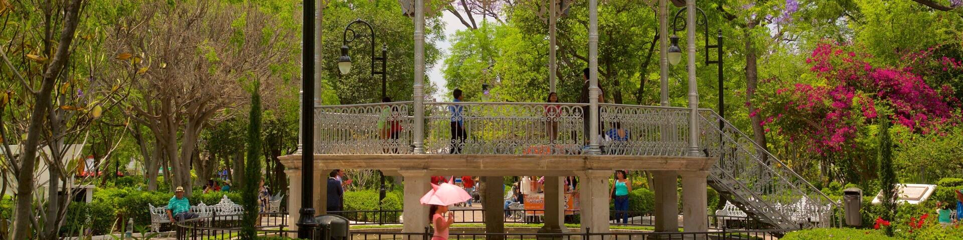 Jardin de San Marcos