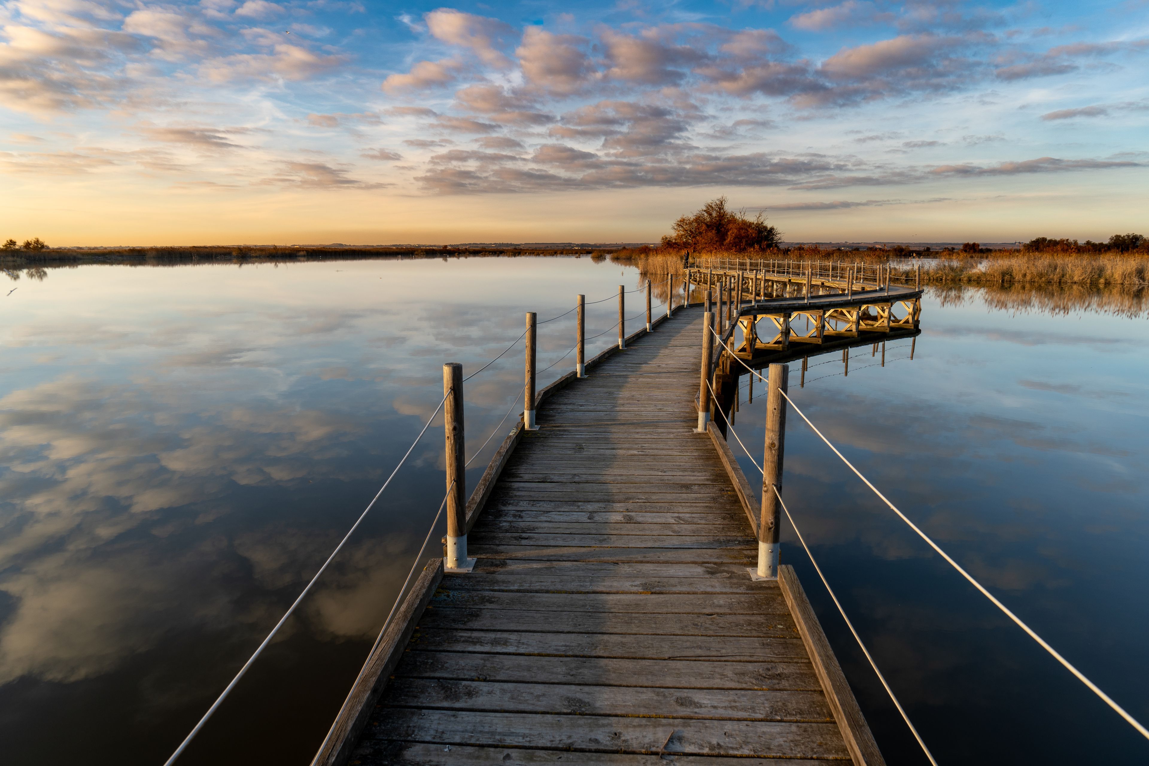 A wooden pier extending into calm waters, surrounded by reeds and trees, under a partly cloudy sky.