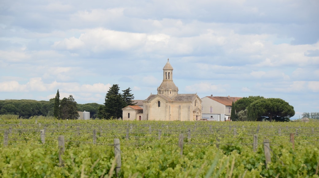 Chapel inmidst the vineyards at the Camargue Mont Calme France