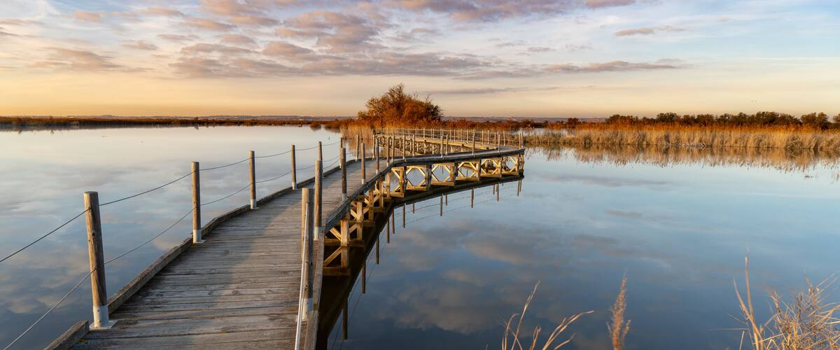 Camargue im Winter / delta du Rhone /
