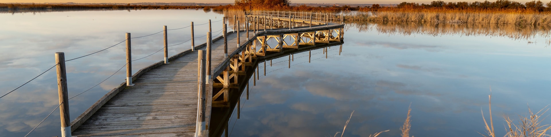 Una pasarela de madera que se extiende sobre aguas tranquilas, rodeada de altas hierbas y un cielo despejado.