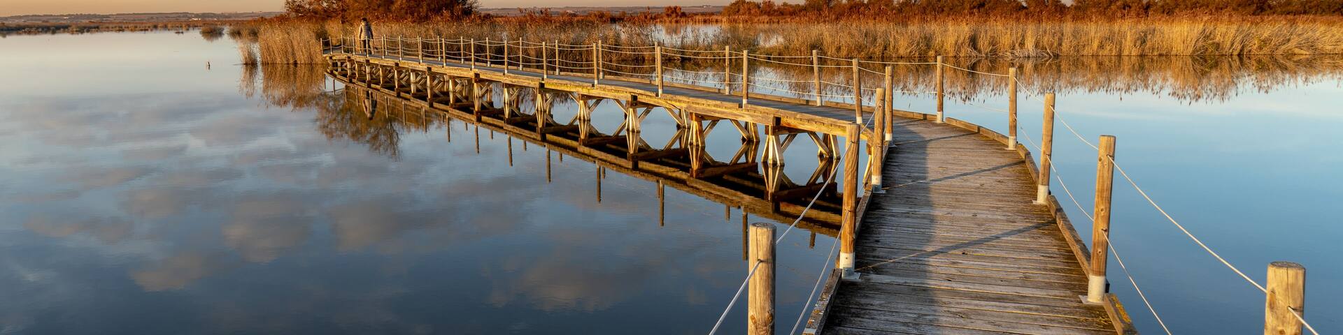 Camargue im Winter / delta du Rhone /