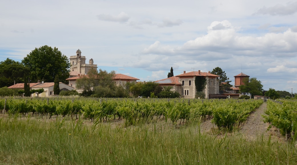 Camargue panoramic view of Mont Calme France