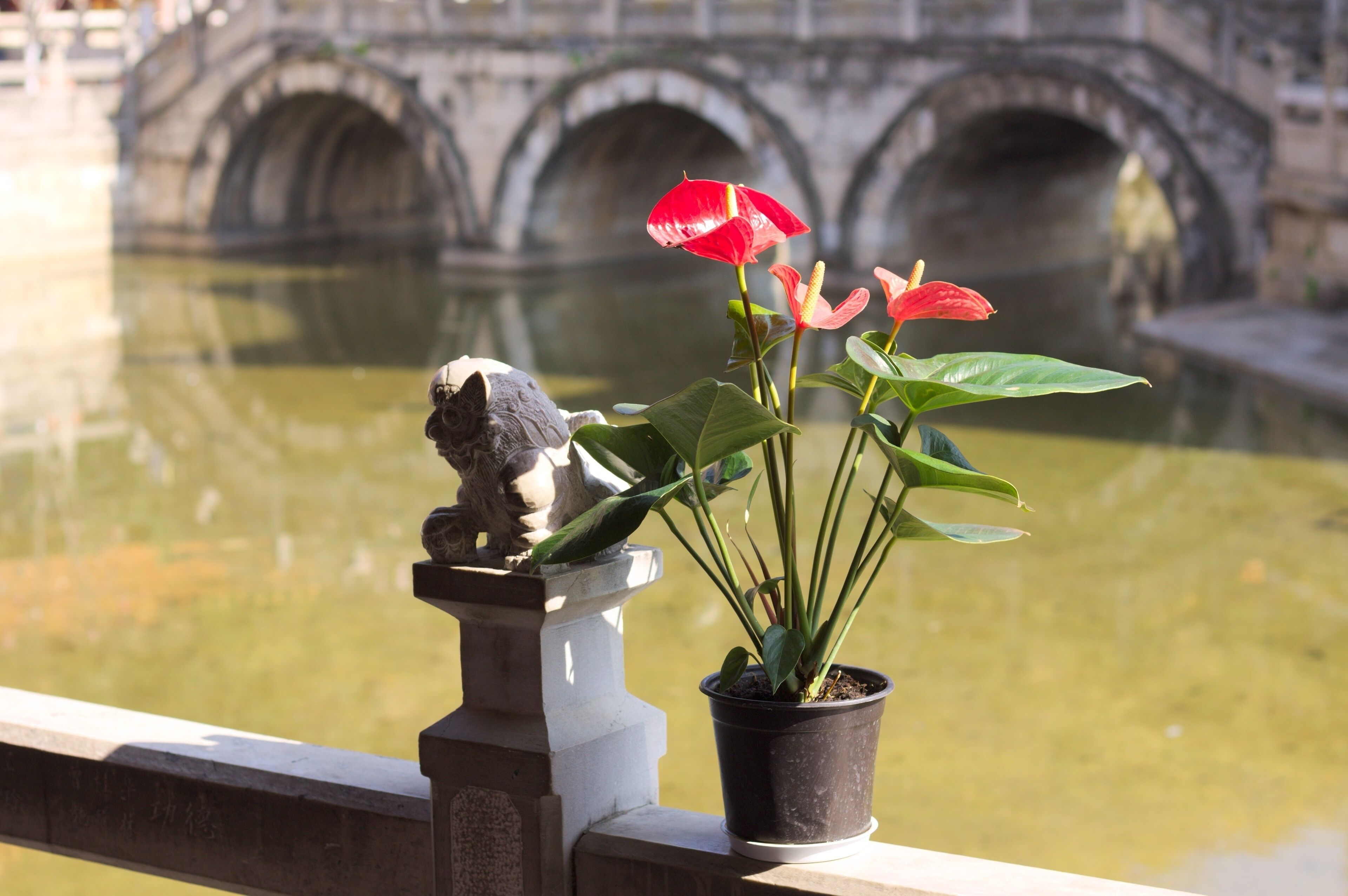 Uma ponte de pedra com três arcos sobre a água, um vaso com flores vermelhas e uma estátua de leão de pedra em um corrimão.