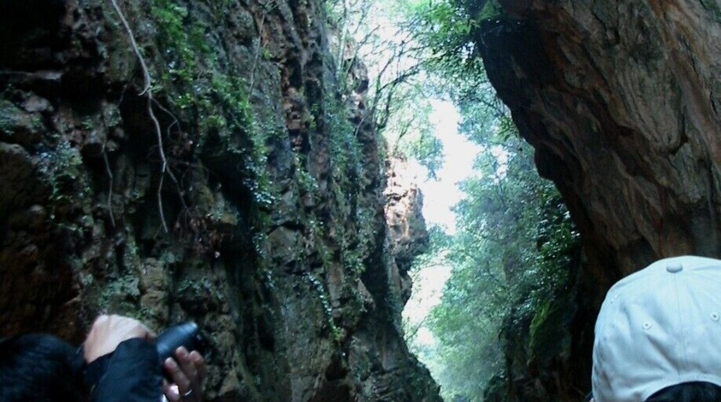 Yincuixia Gorge is a famous for it quitness and fascinating scenic beauty.
Located at the upper reaches of Maitin River to the true north of the Jiuxing Scenic Spot.
Length -- nearly thousand meters
Deep -- 14-15 meters