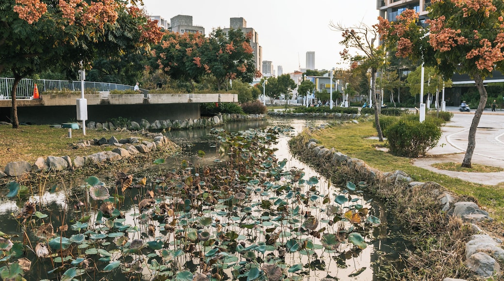 Distrito de Xitun