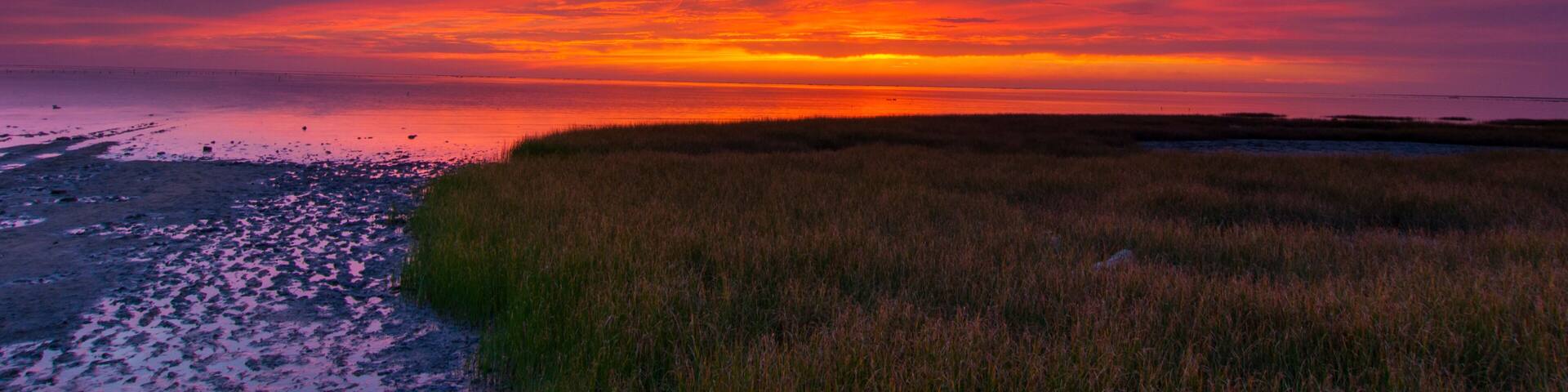 Siangshan Wetland Sunset in Hsinchu, Taiwan