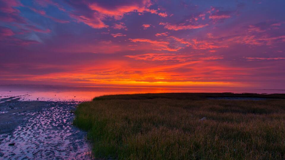 Siangshan Wetland Sunset in Hsinchu, Taiwan