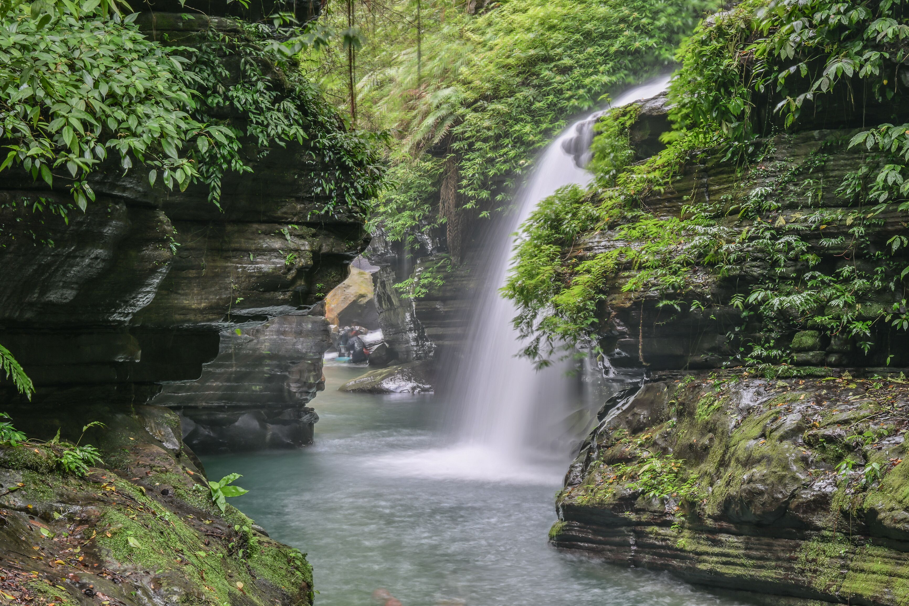 A waterfall cascading over moss-covered rocks in a lush forest.