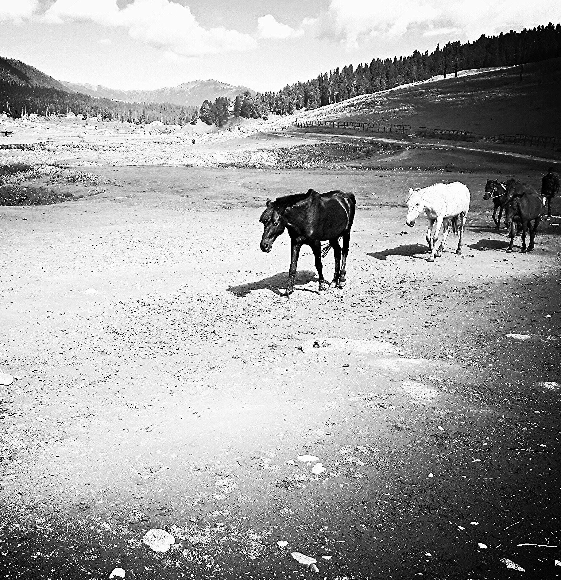 Sonmarg is a hill station in Ganderbal district in the Indian state of Jammu and Kashmir about 80 km north-east of Srinagar.          


#travelblogger #travelphoto #traveler #travelingram #traveldiaries #photography #traveldiary #travellife #travelpic #traveltheworld #travelphotography #travelling #travelblog #travelgram #instalike #instalove #travel #instapic #incredibleindia #instafollow #instadaily #delhiblogger #instagood #followme #beautiful #yoga #picoftheday #travelgirl #travelasia #travelworld