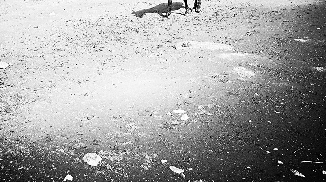 Sonmarg is a hill station in Ganderbal district in the Indian state of Jammu and Kashmir about 80 km north-east of Srinagar.
#travelblogger #travelphoto #traveler #travelingram #traveldiaries #photography #traveldiary #travellife #travelpic #traveltheworld #travelphotography #travelling #travelblog #travelgram #instalike #instalove #travel #instapic #incredibleindia #instafollow #instadaily #delhiblogger #instagood #followme #beautiful #yoga #picoftheday #travelgirl #travelasia #travelworld