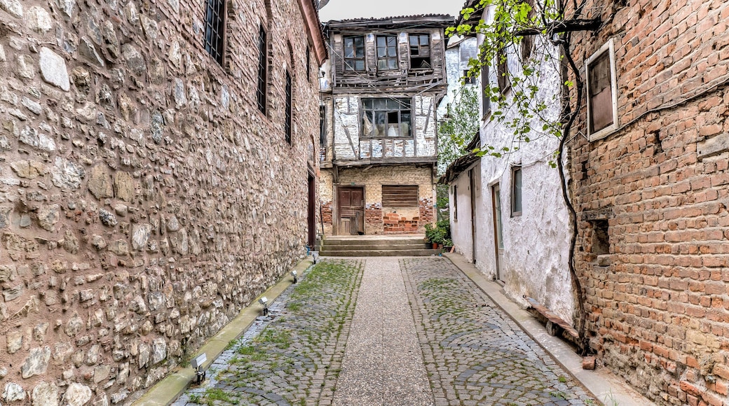Streets and houses of Tirilye village, in Marmara Sea, Mudanya, Bursa.