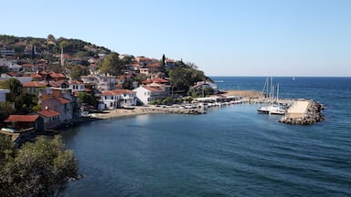 A coastal town with buildings along the waterfront, a pier, and boats docked at the marina.