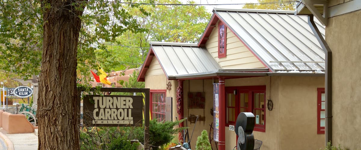 Canyon Road showing street scenes
