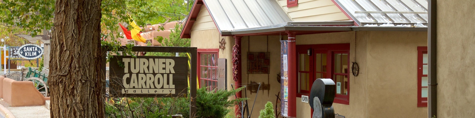 Canyon Road showing street scenes