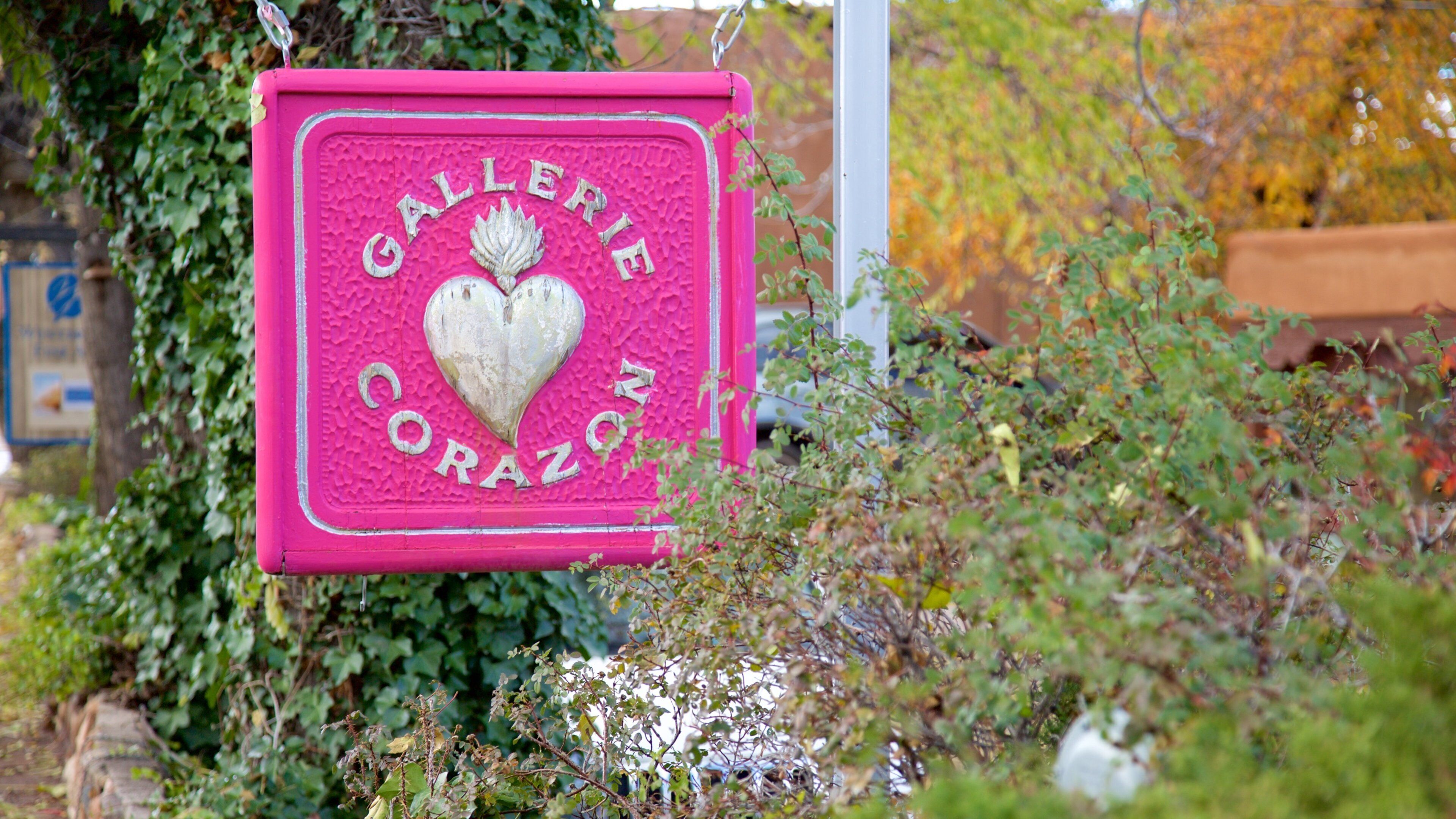 Canyon Road which includes signage
