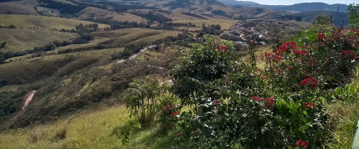 A valley with rolling hills, a small town, and red flowers in the foreground.
