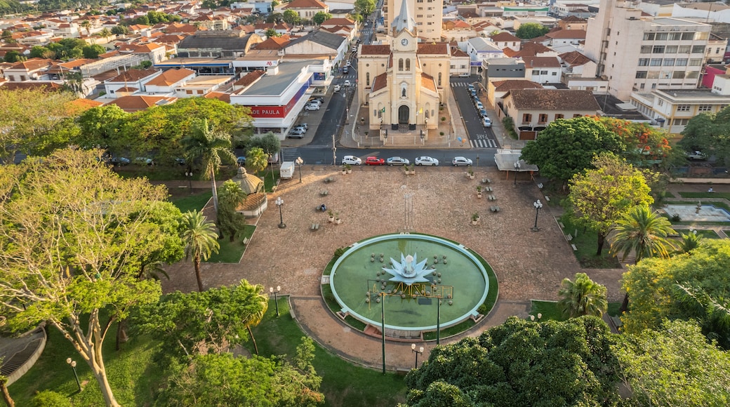 Jaboticabal, São Paulo/Brazil - Around October 2022: Nossa Senhora Carmo Main Church and main square Joaquim Batista de Jaboticabal.