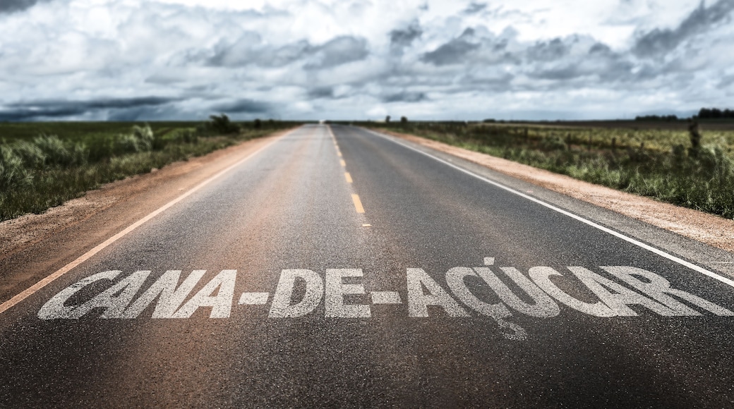 Sugarcane (in Portuguese) written on rural road