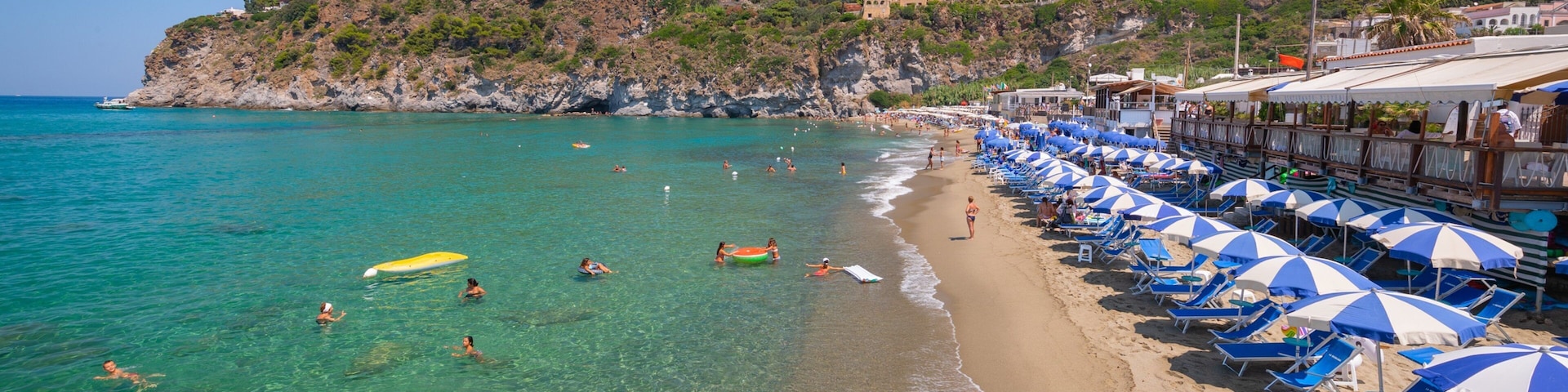 A beach with clear turquoise water, people swimming and sunbathing, and a row of blue and white beach umbrellas.