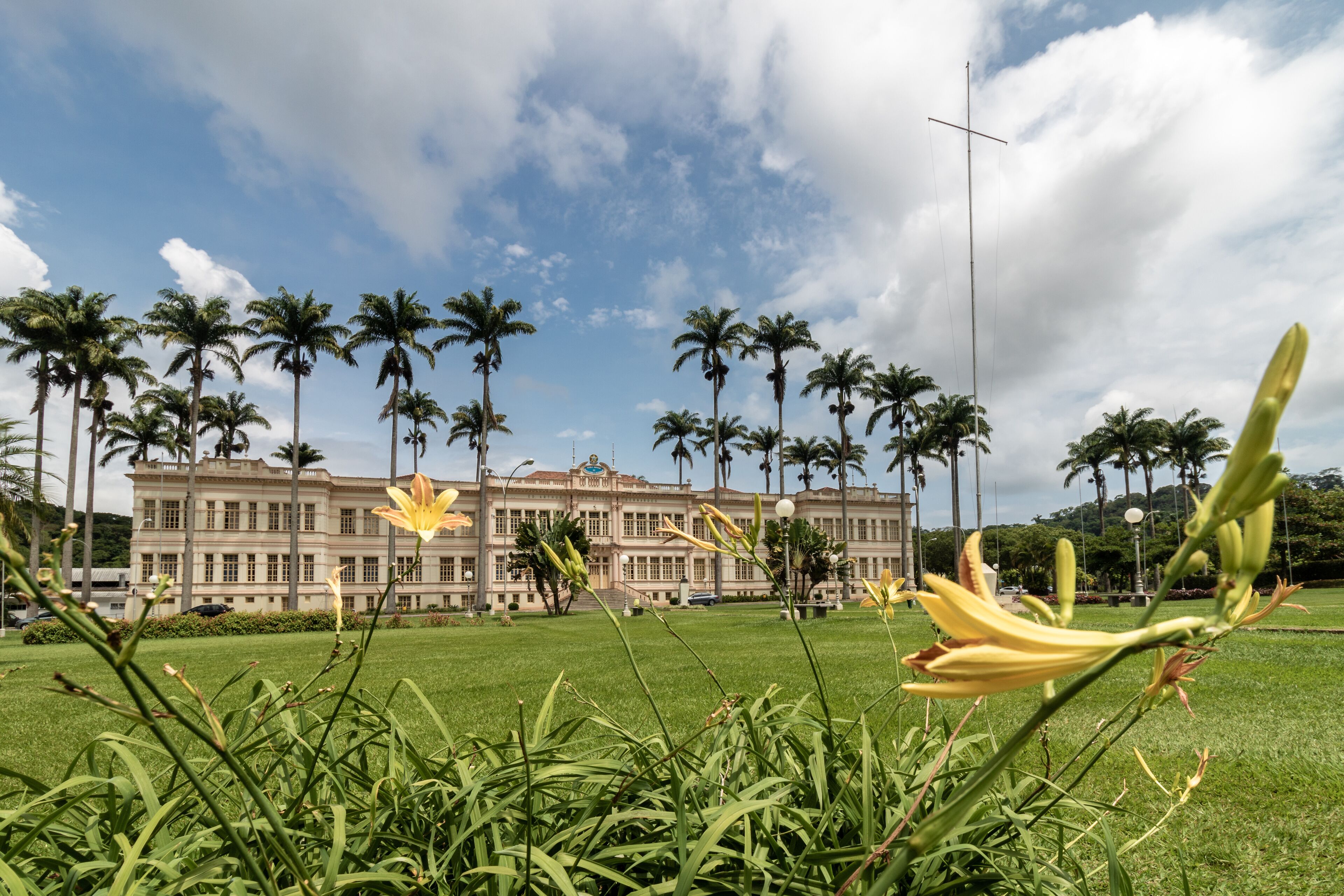 A large building with palm trees in the background.