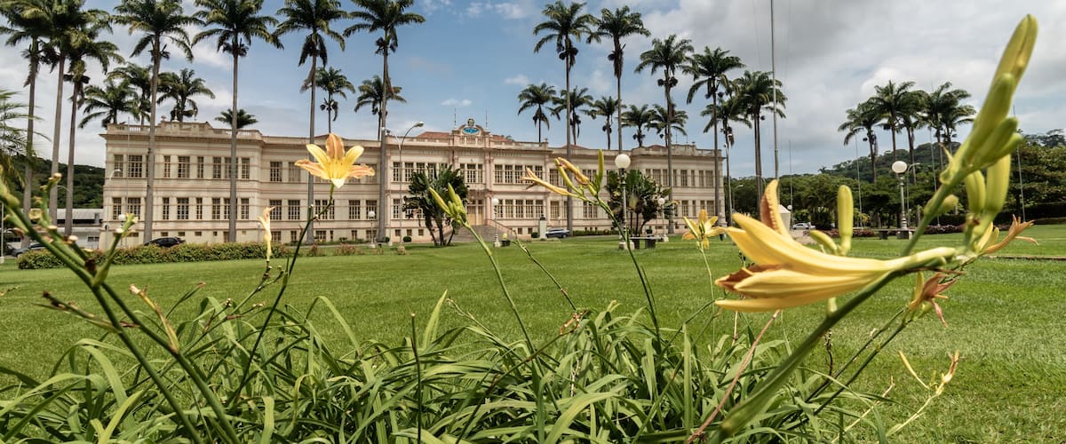 A large building with palm trees in the background.