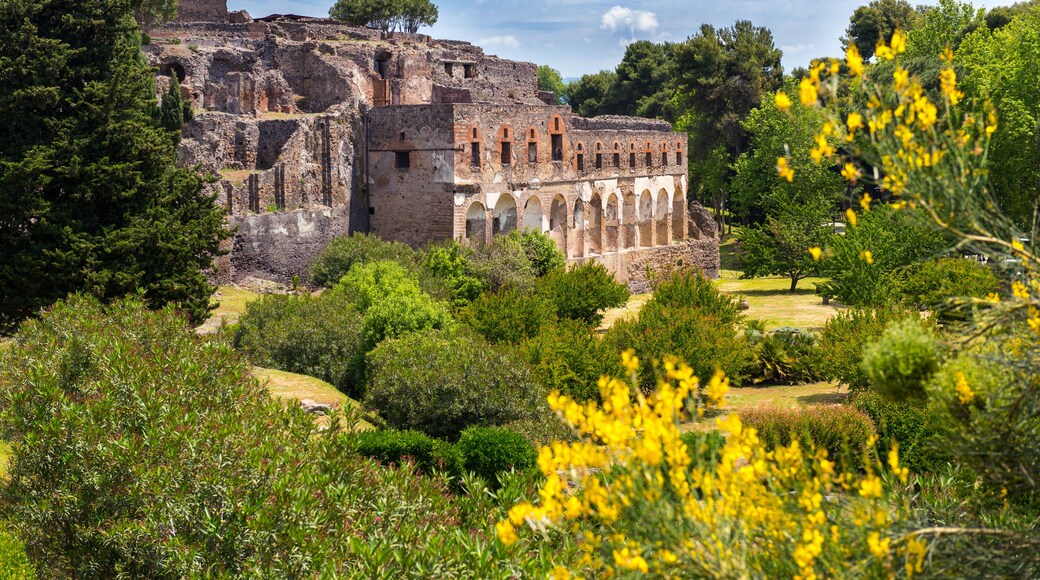 Taman Arkeologi Pompeii