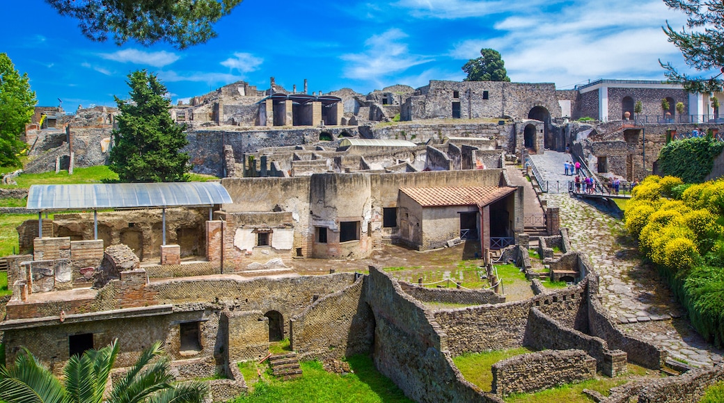 Taman Arkeologi Pompeii