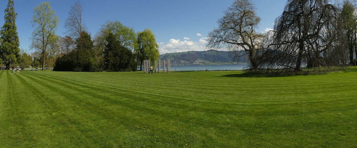 A well-manicured lawn, a large building, and a lake with mountains in the background.